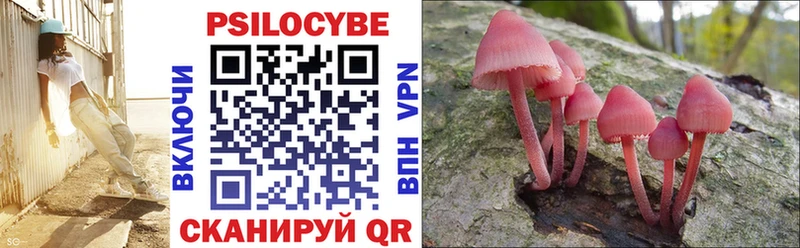 Псилоцибиновые грибы MAGIC MUSHROOMS Заринск